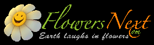 1756: FlowersNext.com The Best Online Flower Delivery Service